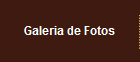 Galeria de Fotos